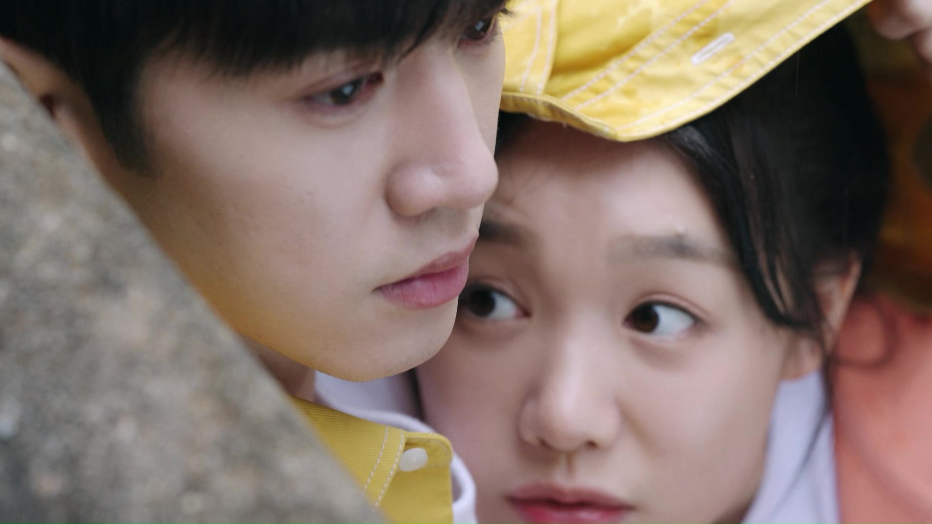 Our Secret (2021) Season 1 [Hindi + Multi Audio] Complete C-Drama WEB Series 720p | 1080p Screenshot