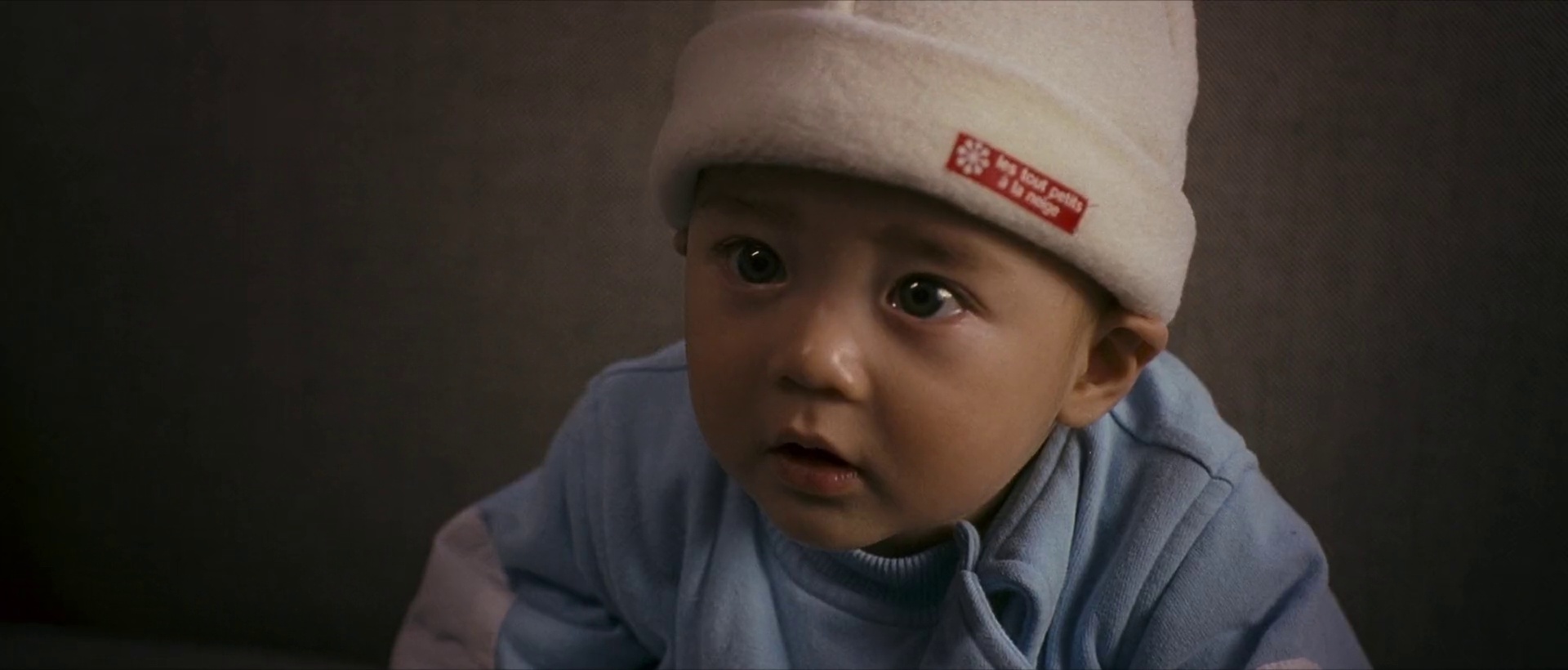 Rob-B-Hood (2006) BluRay Multi Audio [Hindi ORG. + English + Chinese + Tamil + Telugu] Movie 480p | 720p | 1080p Screenshot
