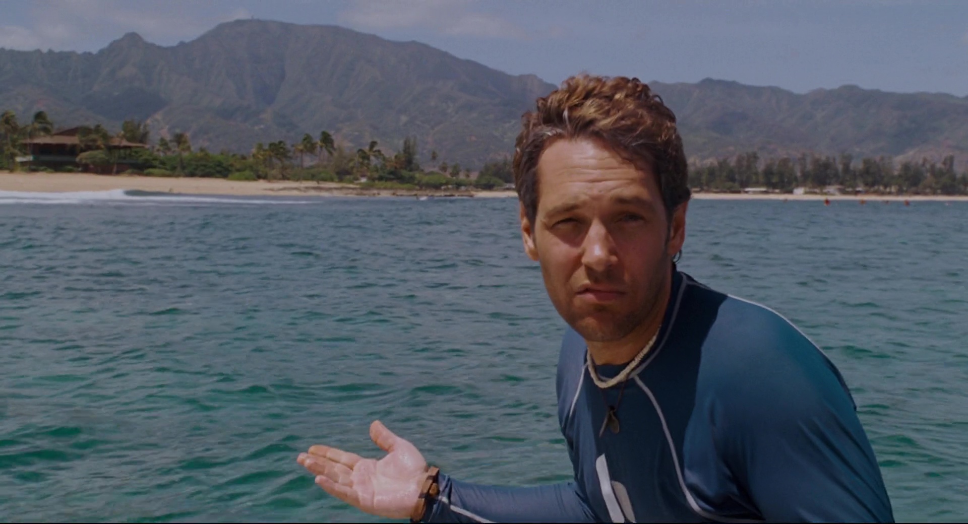 Forgetting Sarah Marshall (2008) BluRay Dual Audio [Hindi ORG. + English] Full Movie 480p | 720p | 1080p Screenshot