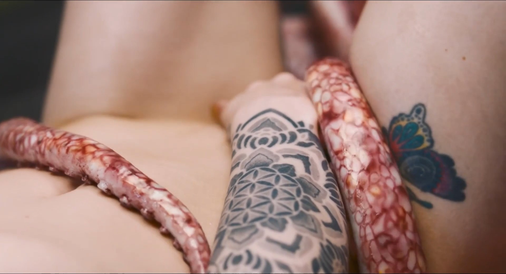 Truly Naked (2026) WEB-DL [English With Subtitles] Full Movie 480p | 720p | 1080p Screenshot
