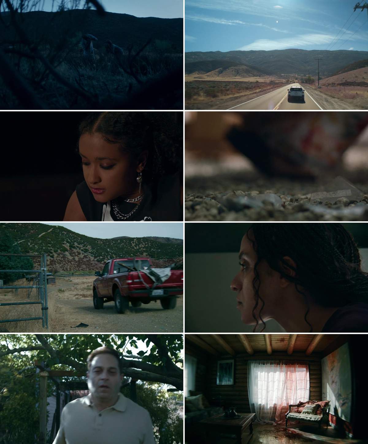 Dead Bloom (2026) WEBRip English 1080p Screenshot