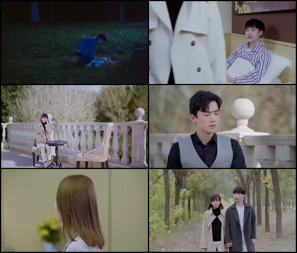 Hidden Marriage Love (Season 1) Dual Audio {Hindi-English} Series 480p 720p & 1080p Screenshot