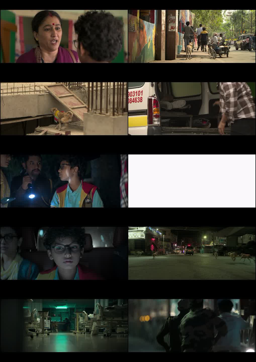 Ohh My Dog (2026) WEB-DL {Hindi DD5.1} Full Movie 480p | 720p | 1080p Screenshot