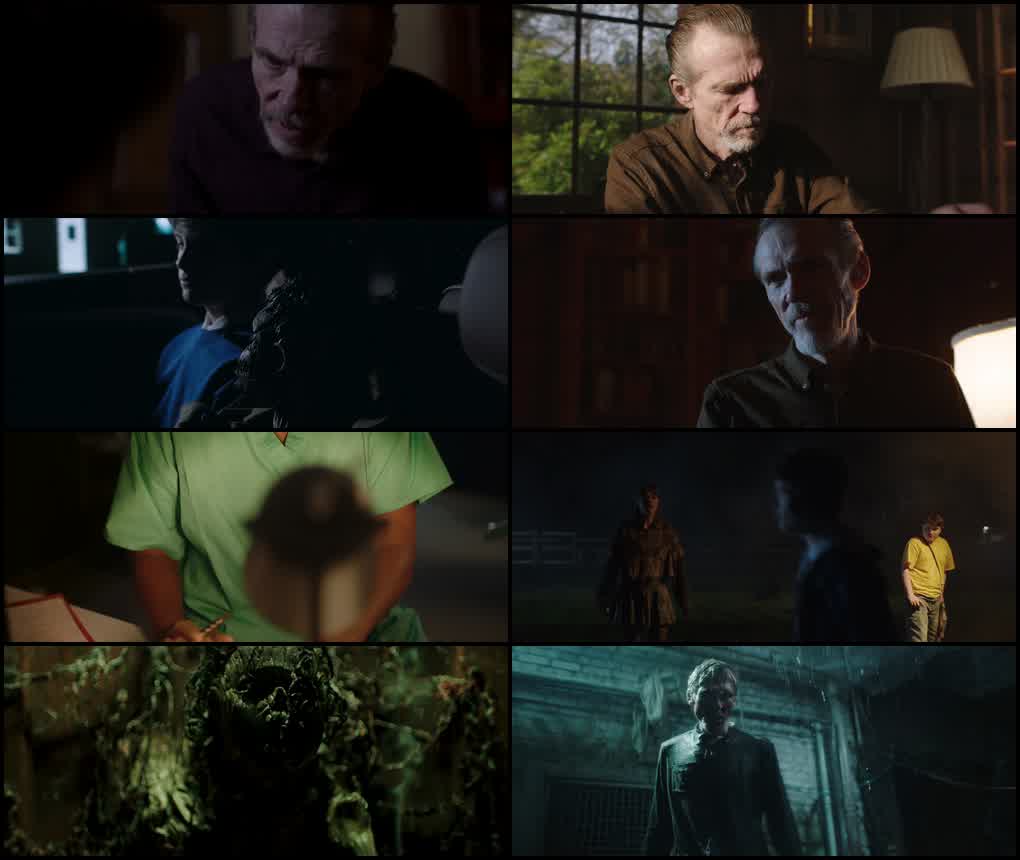 Pinocchio: Unstrung (2026) Blu-Ray Dual Audio {Hindi-English} 480p | 720p | 1080p Screenshot