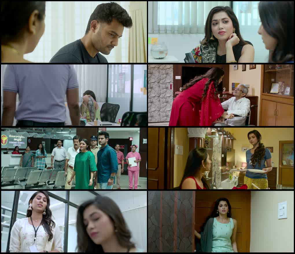 Crazy Fellow (2022) Dual Audio [Hindi + Telugu] 480p | 720p | 1080p Screenshot